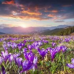 Osada - Tatry Na Wyciagniecie Reki 4* كوشتيليسكا