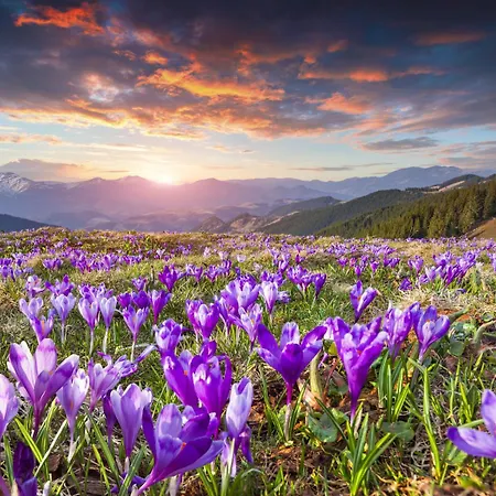 Osada - Tatry Na Wyciagniecie Reki 4* Kościelisko